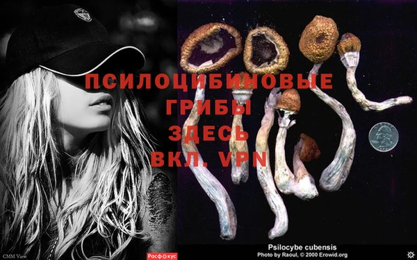 гашишное масло Михайловка