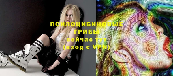 гашик Юрга