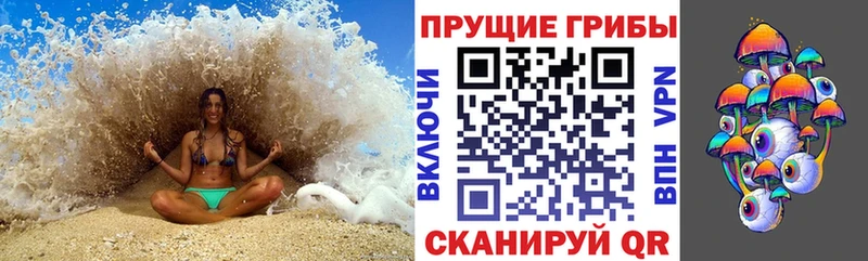 закладки  Медынь  Псилоцибиновые грибы Psilocybe 